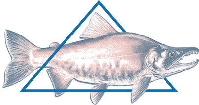 How we came to be Kokanee